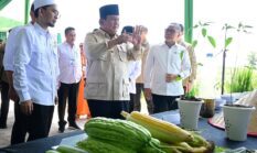 Pemerintahan Prabowo Hadapi Tantangan dalam Bangun Keercayaan Publik dan Jaga Stabilitas Poliitik