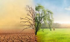 Dampak Perubahan Iklim terhadap Kehidupan Sehari-hari dan Solusinya