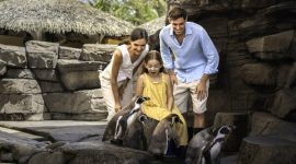 Bali Magical Adventure – Marine Safari Bali Brings a New Wave of Ocean Discovery to Southeast Asia